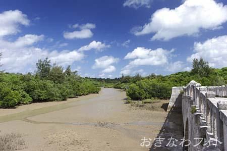 島尻のマングローブ