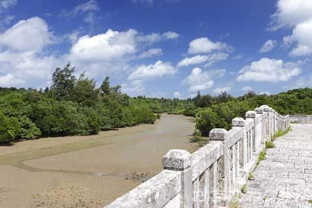 島尻のマングローブ