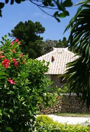 シーサーと赤瓦の家