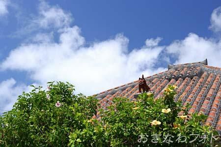 シーサーと赤瓦の家
