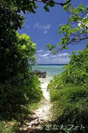 名もなきビーチ