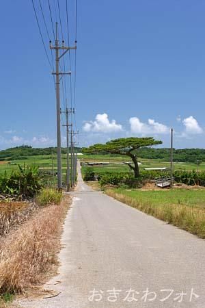 シュガーロード