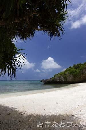 西海岸沿いのビーチ