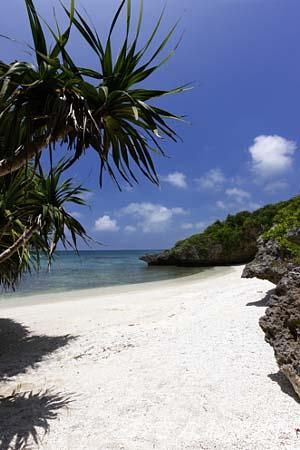 西海岸沿いのビーチ