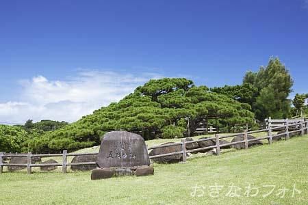 五枝の松