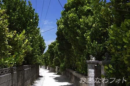 シーサーと白砂の道