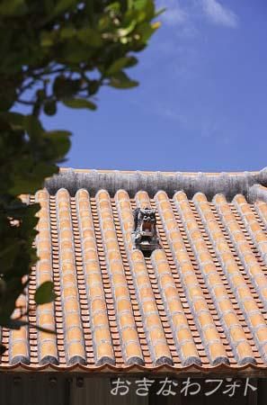 シーサーと赤瓦の家