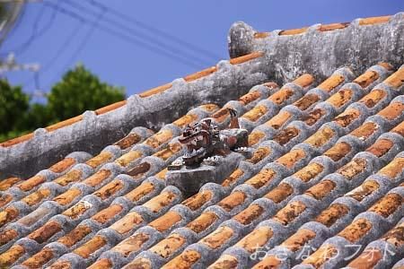 シーサーと赤瓦の家