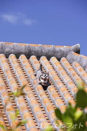 シーサーと赤瓦の家