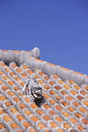 シーサーと赤瓦の家