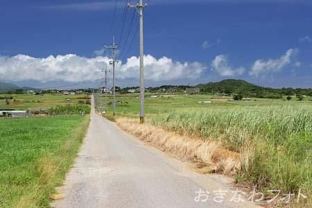 シュガーロード