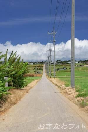 シュガーロード