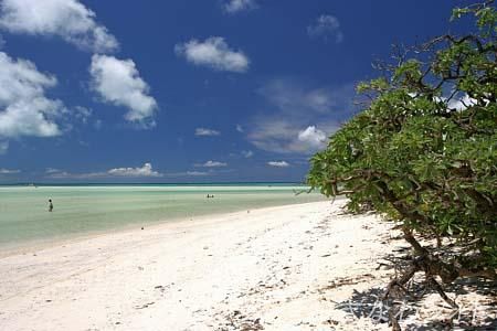 コンドイビーチ