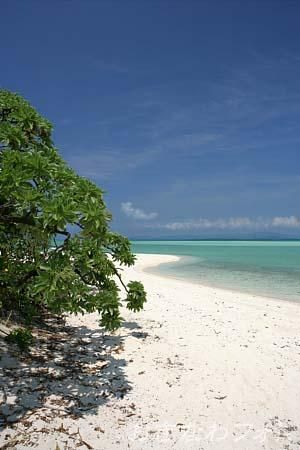 コンドイビーチ