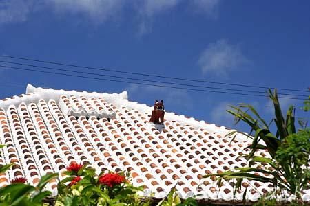 シーサーと赤瓦の家