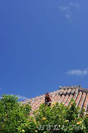 シーサーと赤瓦の家