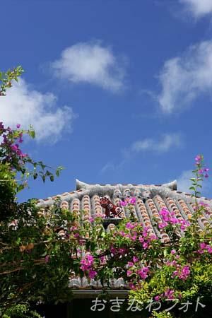 シーサーと赤瓦の家