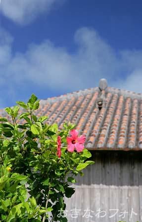 シーサーと赤瓦の家