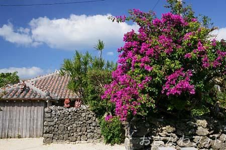 シーサーと赤瓦の家