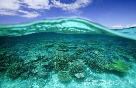 鳩間島の海（水中）