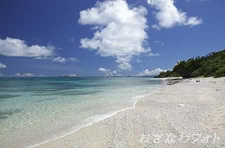 新城島の海