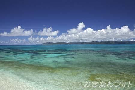 新城島の海