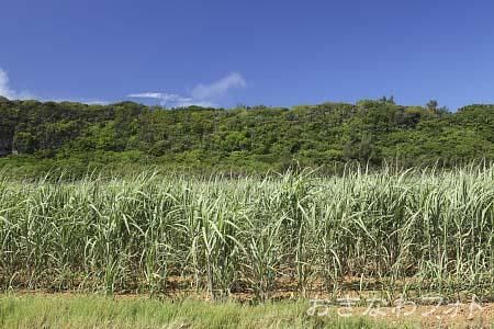 長幕（屏風岩）