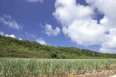 長幕（屏風岩）
