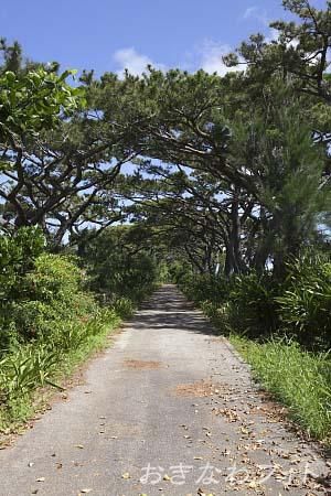 フロンティアロード