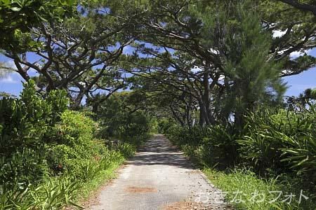 フロンティアロード