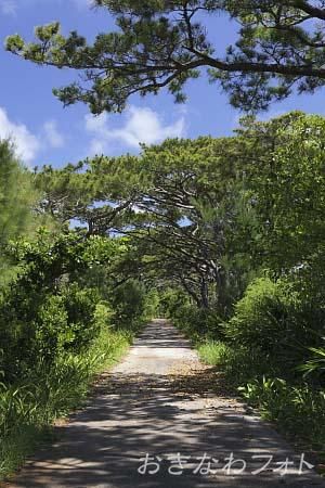 フロンティアロード