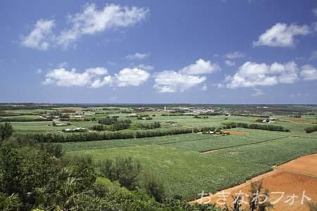 日の丸展望台から