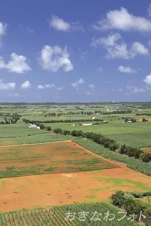 日の丸展望台から