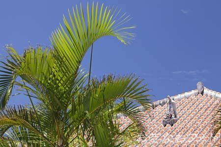 シーサーと赤瓦の家