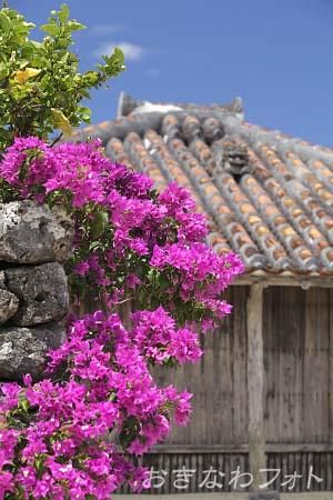 シーサーと赤瓦の家