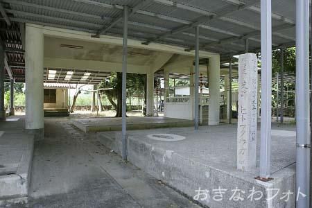 ピトゥマタウガム