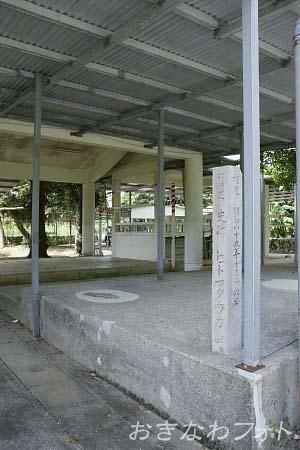 ピトゥマタウガム