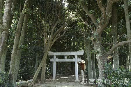 塩川御嶽とフクギ並木