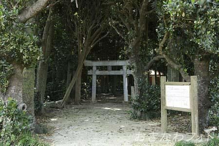 塩川御嶽とフクギ並木