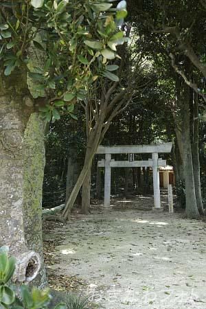 塩川御嶽とフクギ並木