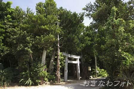 運城御嶽と植物群落