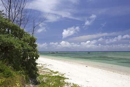 ふるさと海浜公園