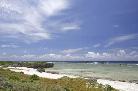 タカタ＆パイヌッジ