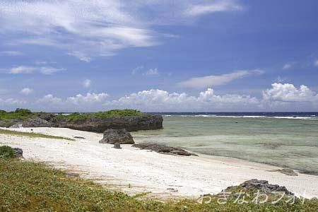 タカタ＆パイヌッジ