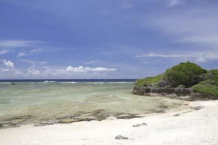 タカタ＆パイヌッジ