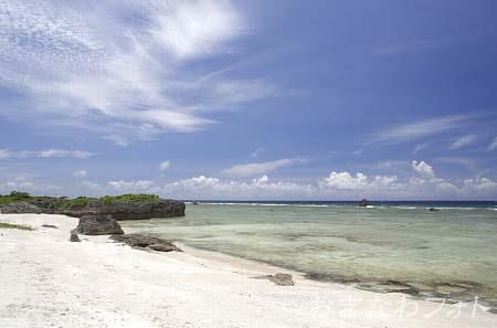 タカタ＆パイヌッジ