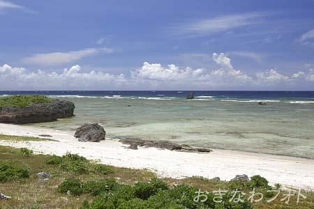 タカタ＆パイヌッジ