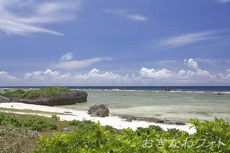 タカタ＆パイヌッジ