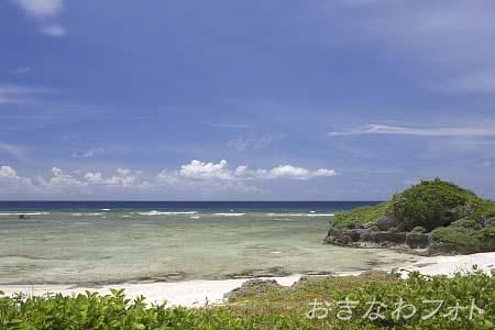 タカタ＆パイヌッジ