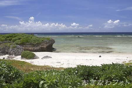 タカタ＆パイヌッジ